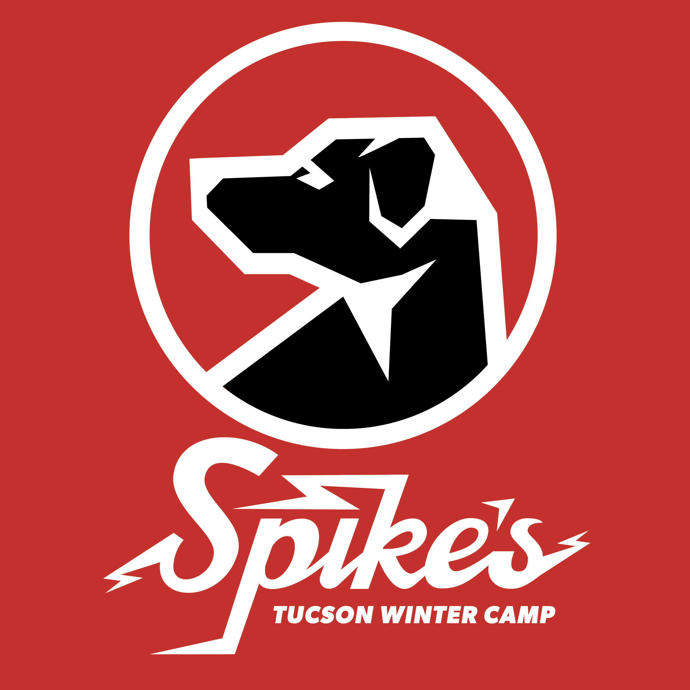 Winter Camp Logo